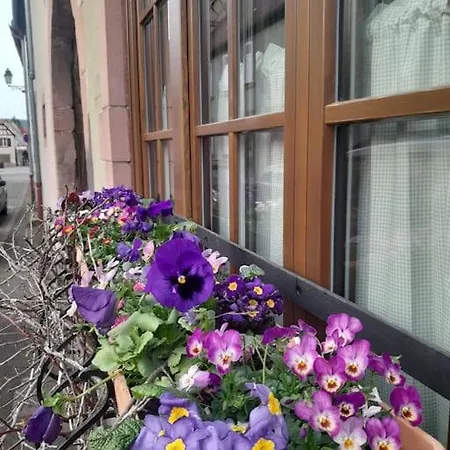 Escapade En Alsace - De Charme Pour Deux A *