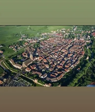 Escapade En Alsace - De Charme Pour Deux A Apartmán *